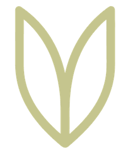 VitalPro