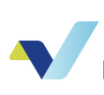 Vivid Reports