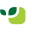 Vivus