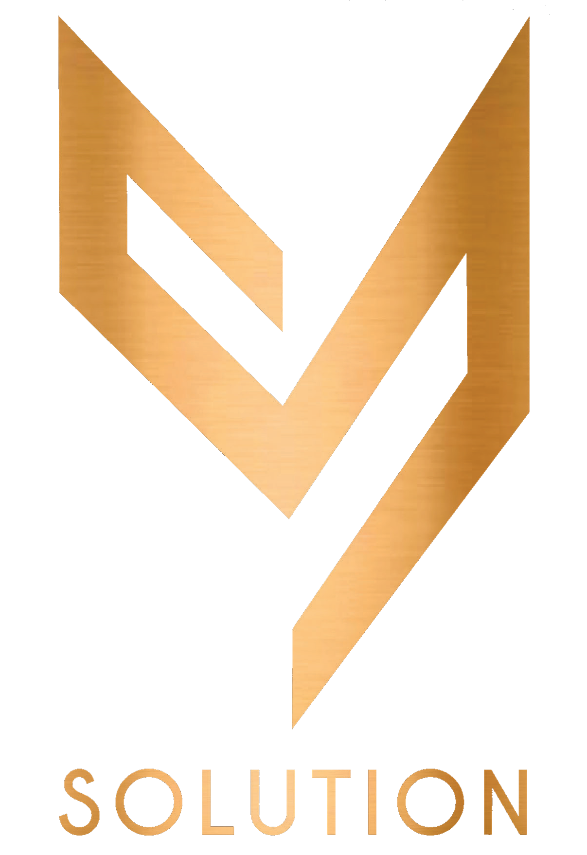 VMS Solution