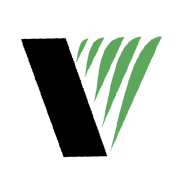 Vogar