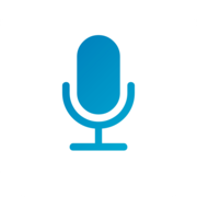 Voice Notes