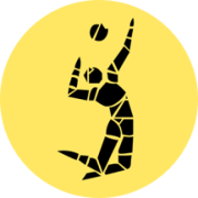 Volley World App