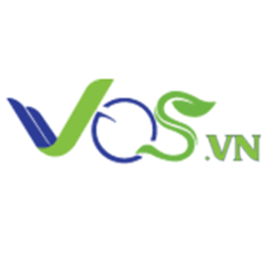 Viet Quality Software