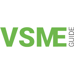 VSME Guide