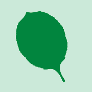 Vermont Invasives