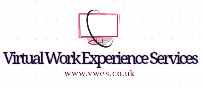 Virtual Work Experience Services