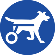 Walkin’ Pets