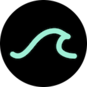 WaveRider AI