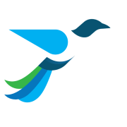 WealthFluent