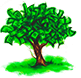 Wealthlink Inc.