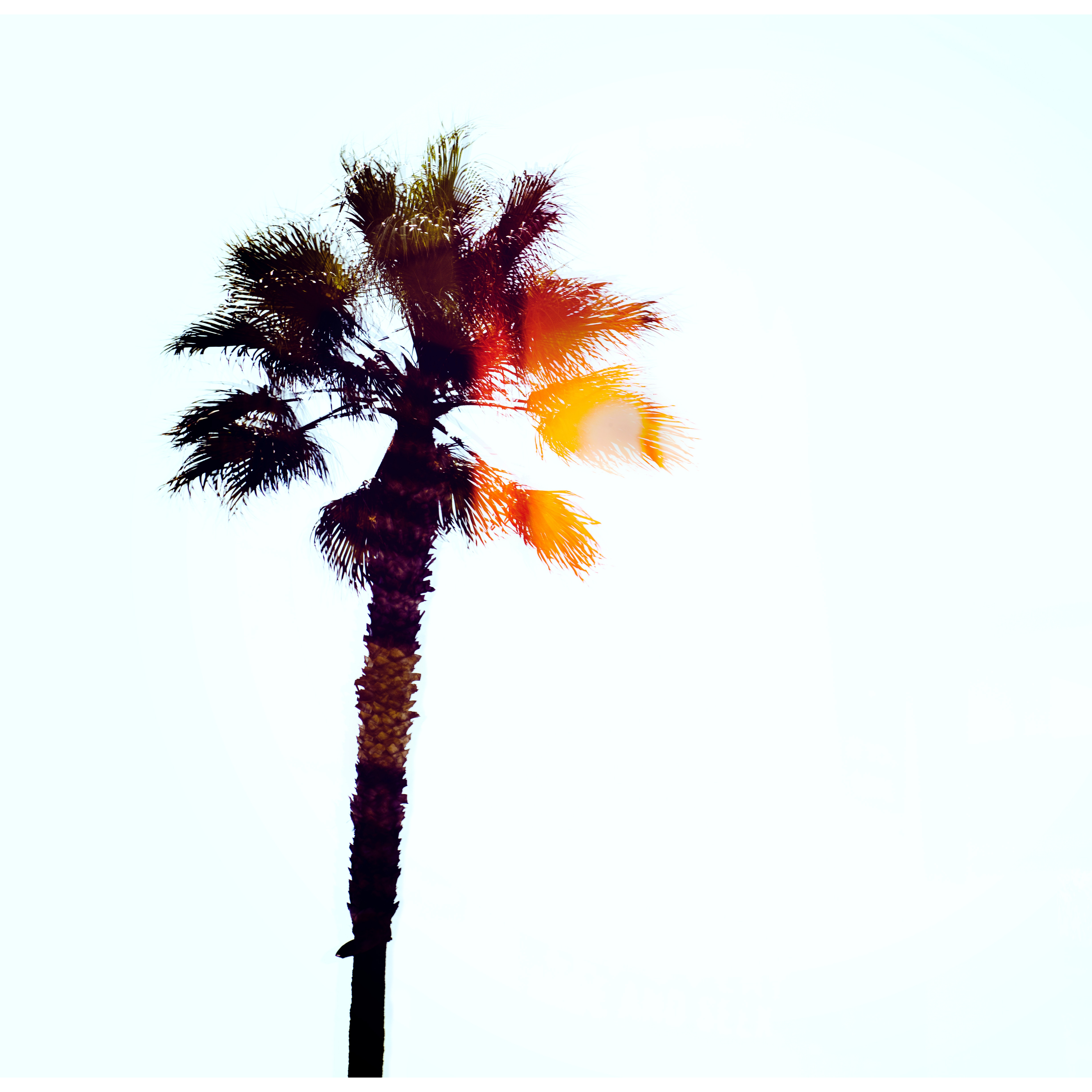 Pacific Music