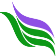 WeaveStream