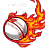 WebCric