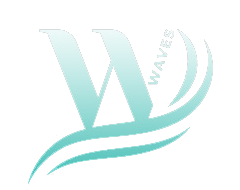 WebinarWaves