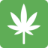 WeedStreetNow