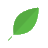 WePlan Forests