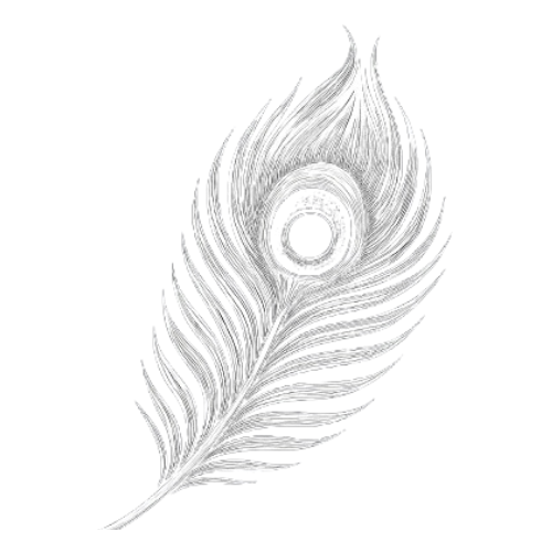 WFeather Finance