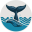 WhaleDown