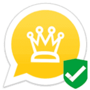 Whats Plus