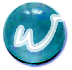 WhiteMKT STORE