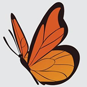 Wiki Borboleta