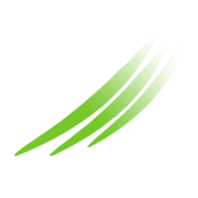 WikiTree
