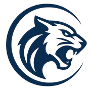 Wildcat Systems Inc.