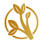 Wilder Community
