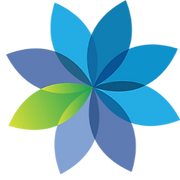 Wildflower Health
