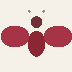 Wine Fly