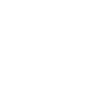 WingDriver