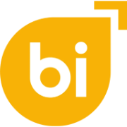 Wise BI