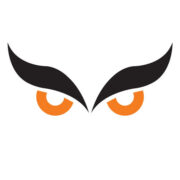 WiseEye Technology