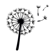 Wishsite