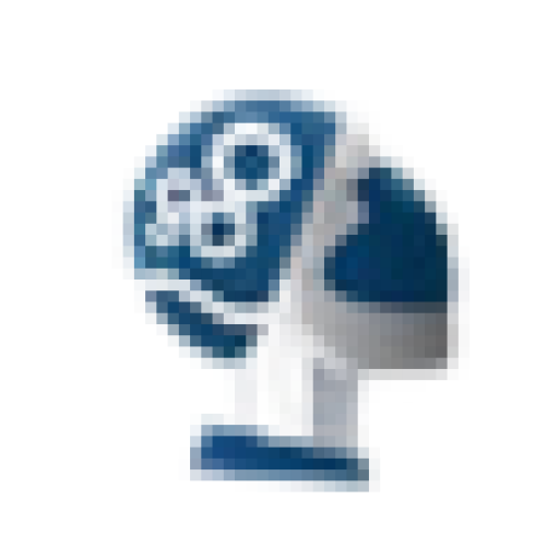 WITMEG