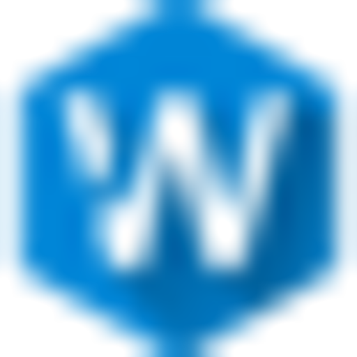 Wizy