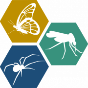 The Wolbachia Project