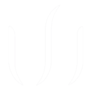 WoodinWater