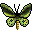 World Species