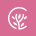 Coachify Theme