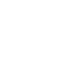 WP Cloner