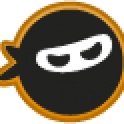 Writing Ninja