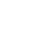 Wrtn AX
