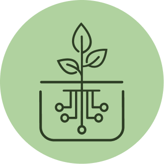 WSEEDS
