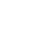 WTFilm