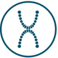 XDentalCloud