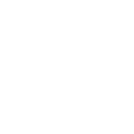 Xenia Global