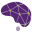 XLNTBrain