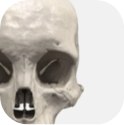 XR Anatomy